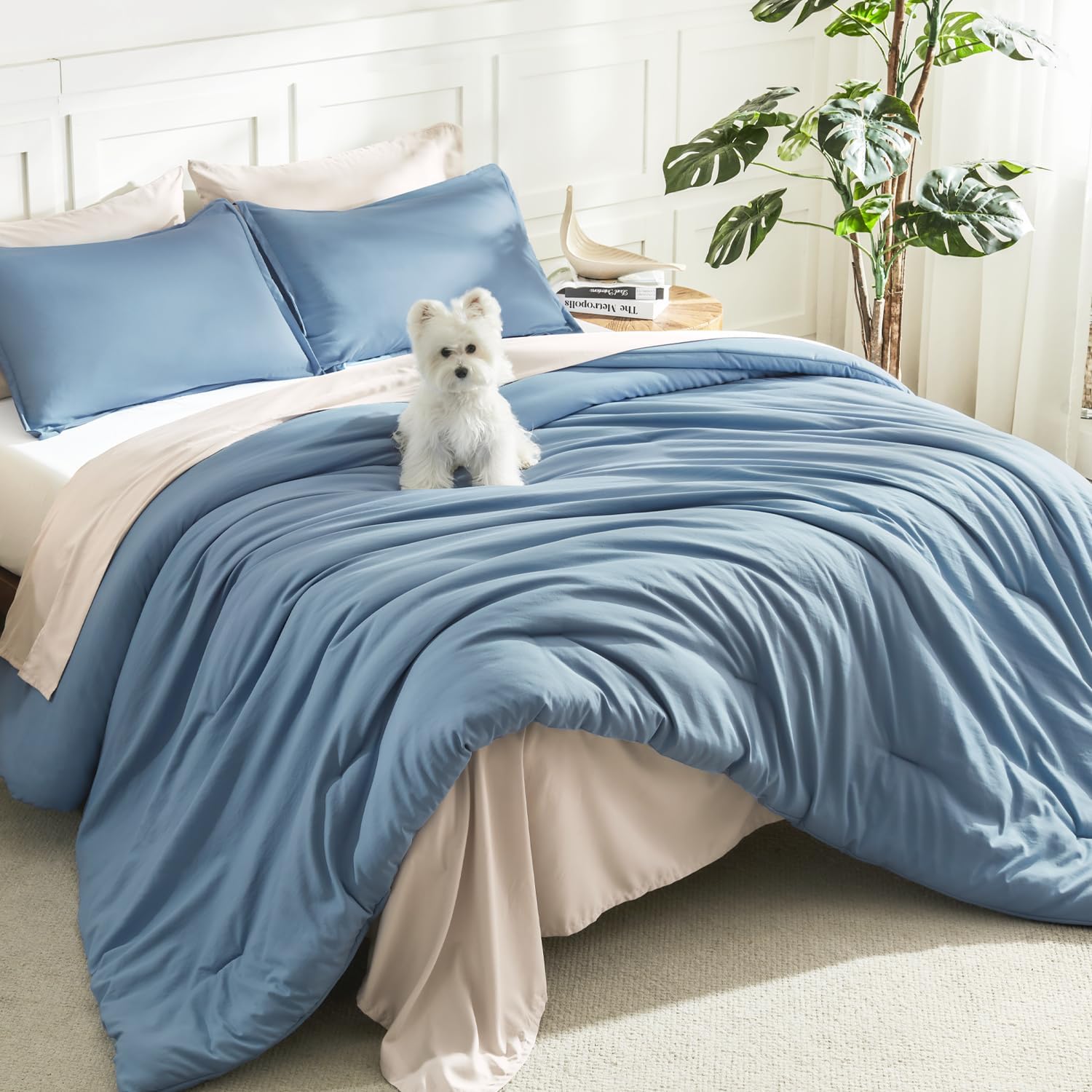 Litanika lightweight solid down alternative 3-piece comforter bedding set with soft, cozy fabric and matching pillow shams.